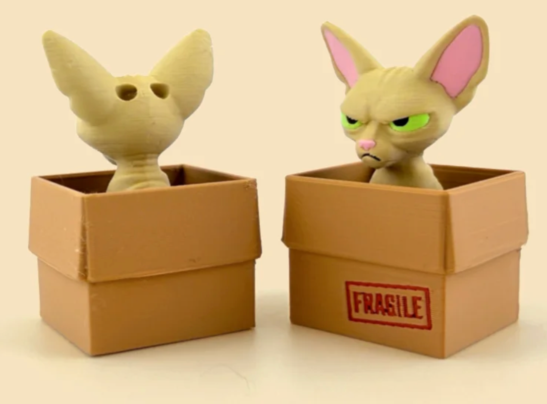 Front and rear views of the tan Siamese head in a Fragile box. Two views of one example combination; heads and boxes can be chosen separately.